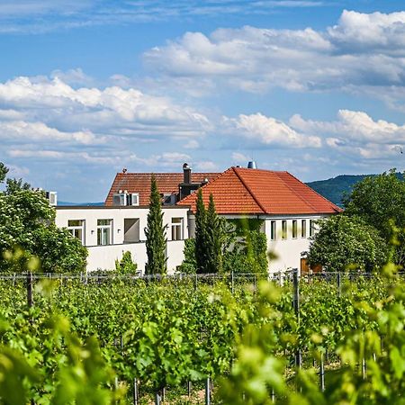Wirtshaus Leindl Hotell Krems an der Donau Exteriör bild